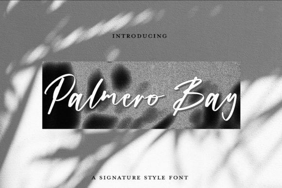 Palmero Bay: An Elegant Script for Modern Branding