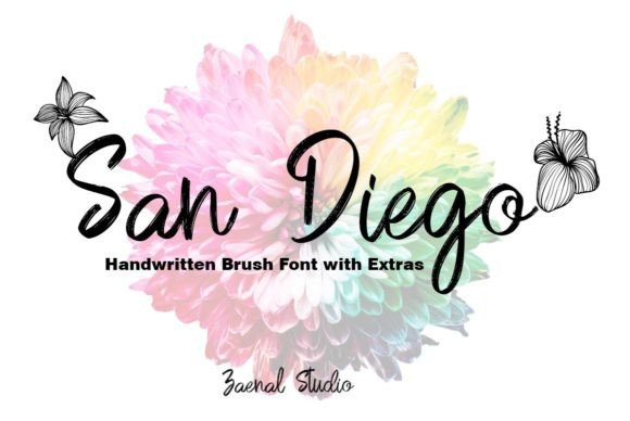 San Diego: A Modern Handwritten Script Font for Creative Projects